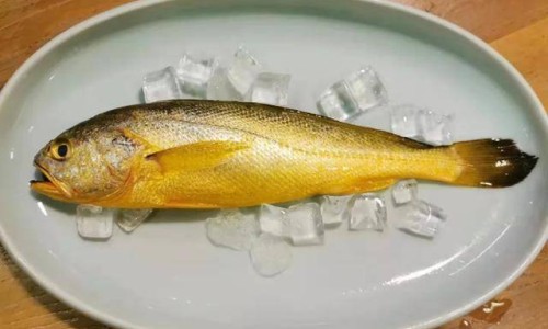 【鸡腿的营养含量表】鸡腿的营养含量是多少克 - 鸡腿的营养含量网